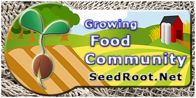 Seed Root - Grow Your Own Community