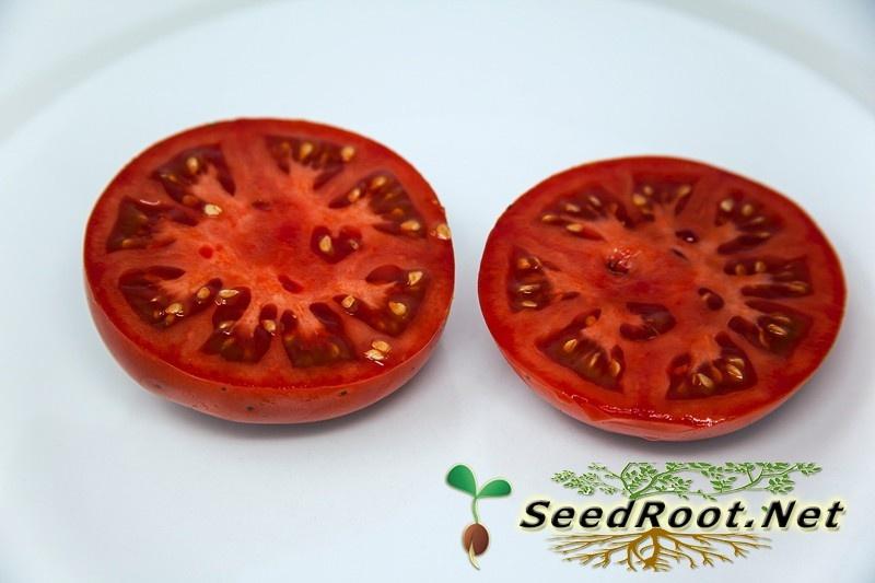 Sliced Rutgers Tomato