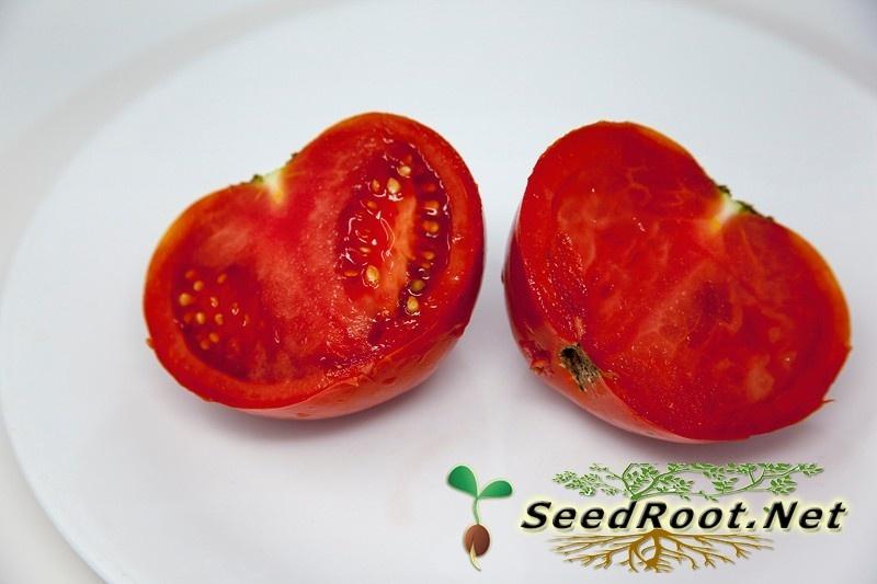 Halved Rutgers Tomato