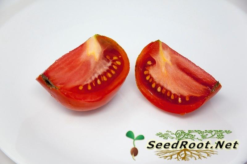 Quartered Rutgers Tomato