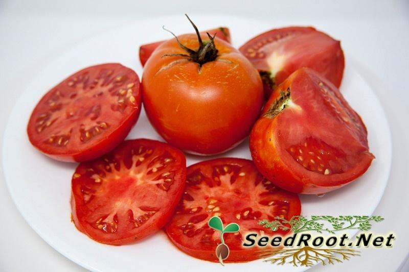Ripe Rutgers Tomatoes