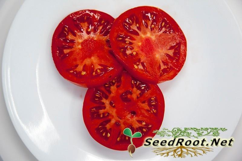 Rutgers Tomato - Indeterminate Tomatoes